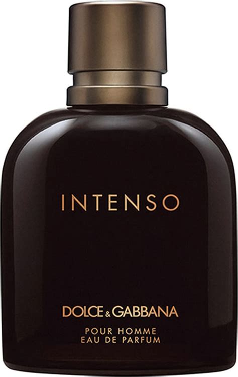 dolce gabbana intense edp homme 125 ml|dolce gabbana pour femme fragrantica.